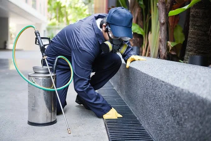 Commercial Pest Control