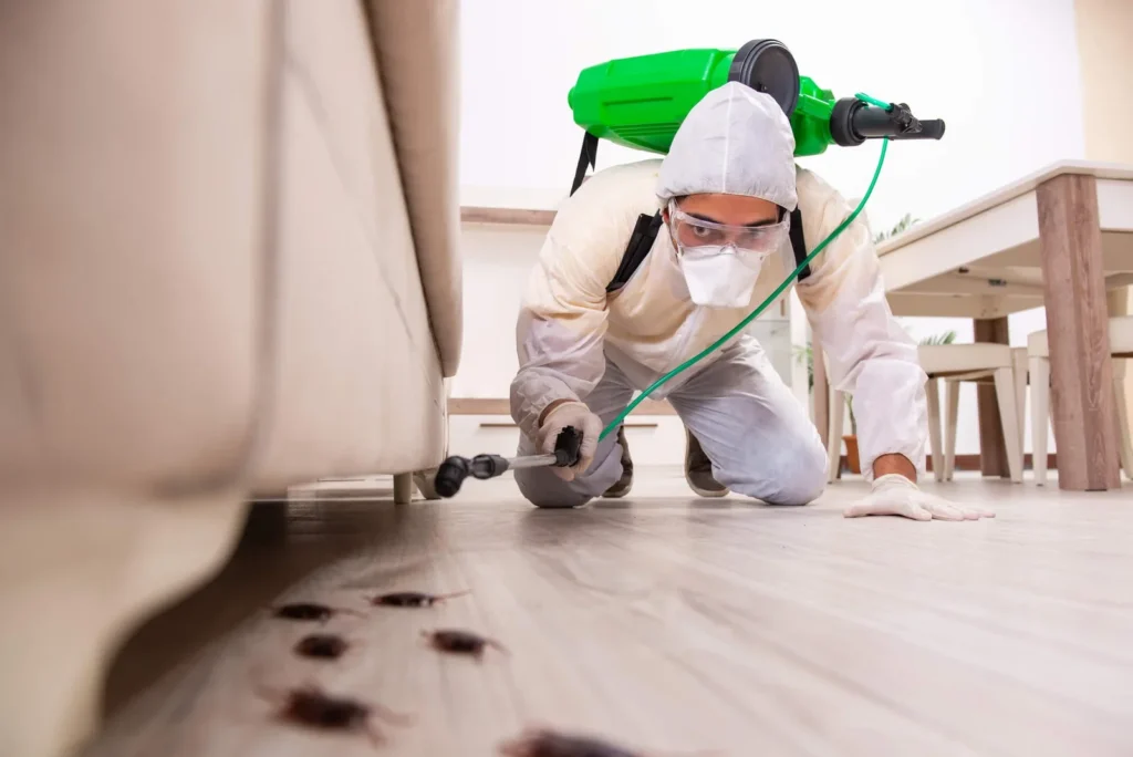 Pest Control Bend